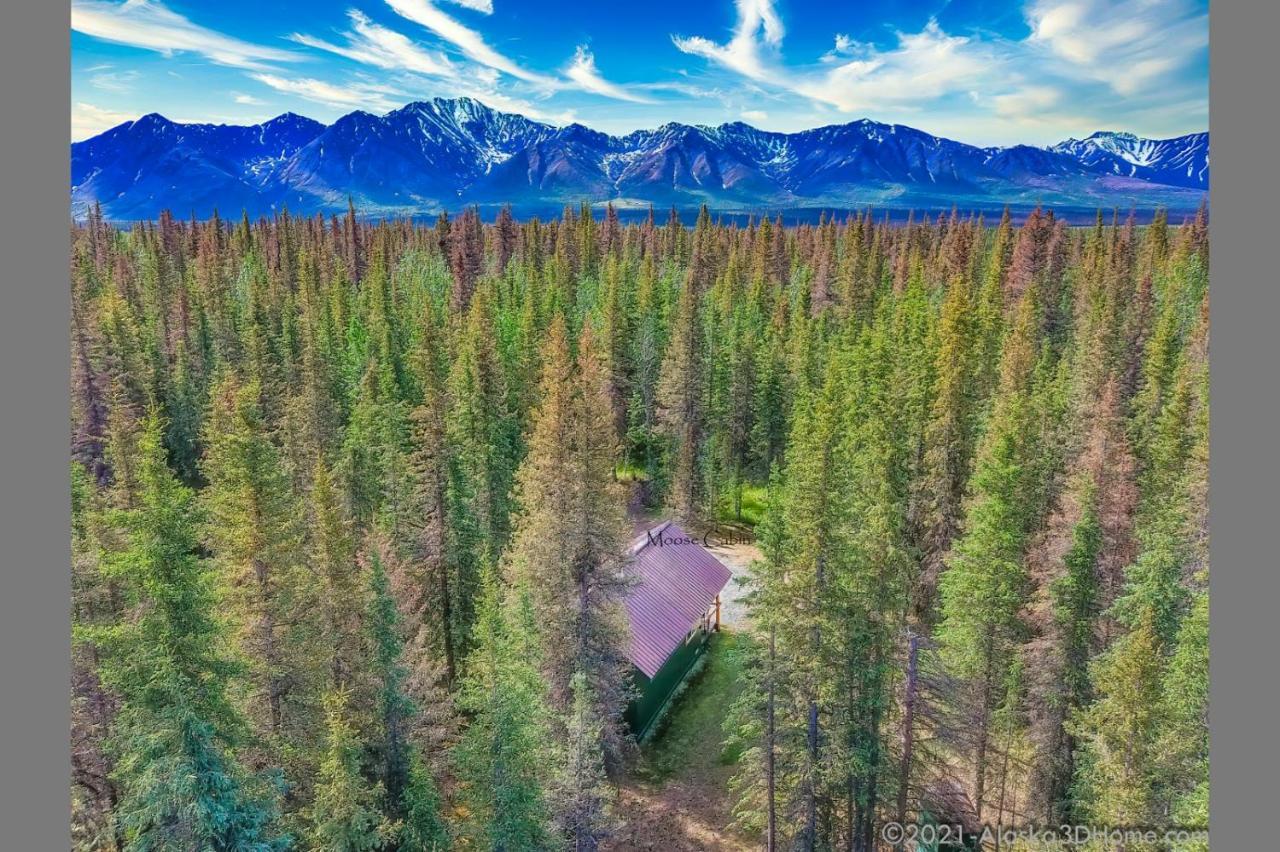Backwoods Lodge Cantwell Exteriör bild