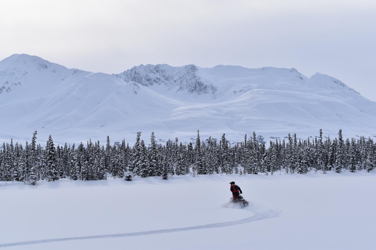 Backwoods Lodge Cantwell Exteriör bild